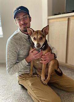 Adopt A Pet Petsmart Charities