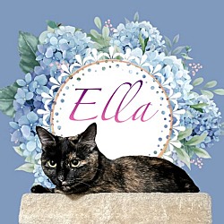 Thumbnail photo of Ella #3