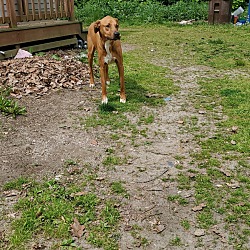 Photo of Toblerone Jenkins First
