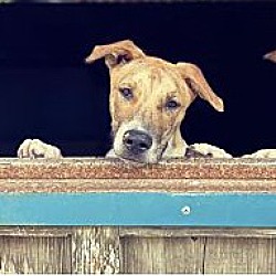 Photo of Tony