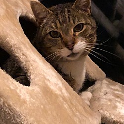 Thumbnail photo of Mr. Max #2