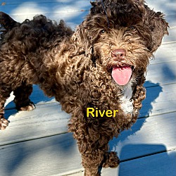 Thumbnail photo of River #1