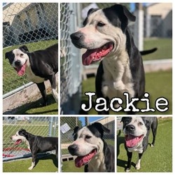 Thumbnail photo of Jackie #2