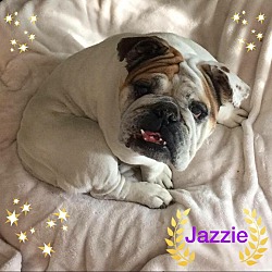 Thumbnail photo of Jazzie #1