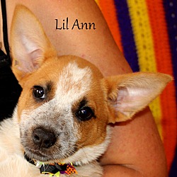 Thumbnail photo of Lil Ann ~ meet me! #3