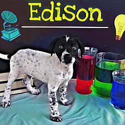 Photo of Edison