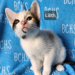 Photo of Lilith - AVAILABLE SOON
