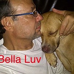 Thumbnail photo of Bella Luv #2