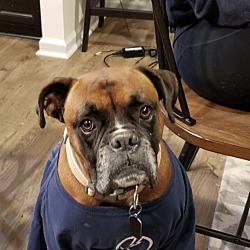 Photo of Cas