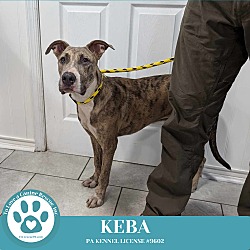 Thumbnail photo of Keba 092124 #3