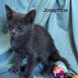 Photo of Josephine