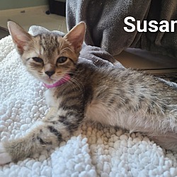 Photo of Susan