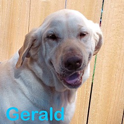 Thumbnail photo of Gerald #2