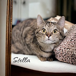 Thumbnail photo of Stella (McCartney) #3