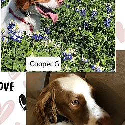 Thumbnail photo of TX/Cooper G #3