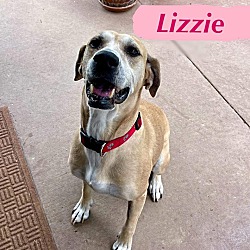 Thumbnail photo of LIZZIE #2