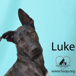 Thumbnail photo of Luke #1