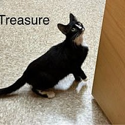 Thumbnail photo of Treasure #2