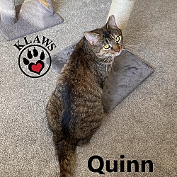 Thumbnail photo of Quinn #2