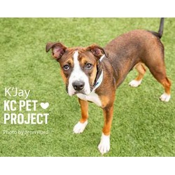 Thumbnail photo of K'Jay #3