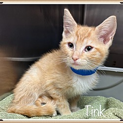 Thumbnail photo of TINK #2