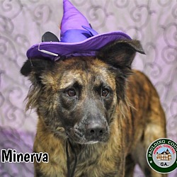 Thumbnail photo of 24-09-2936 Minerva #1