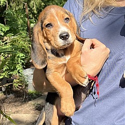 Photo of Theo