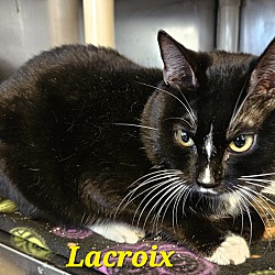 Thumbnail photo of Lacroix #2