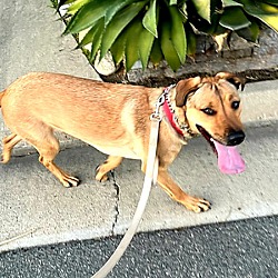 Thumbnail photo of Sookie- FOSTER ME! #3