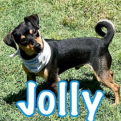 Photo of Jolly in Texarkana TX