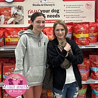 adopt a pet