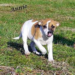 Thumbnail photo of Annie ~ meet me! #2