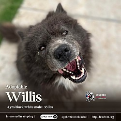 Thumbnail photo of Willis #3