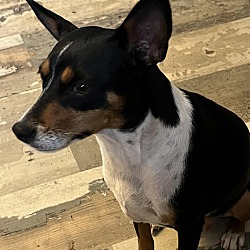 Photo of Momma