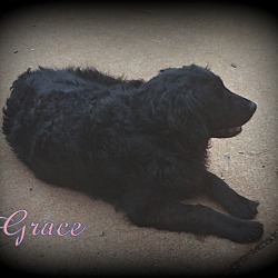 Thumbnail photo of Grace #4