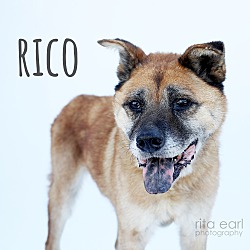 Thumbnail photo of Rico #2