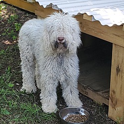 Photo of Reuben