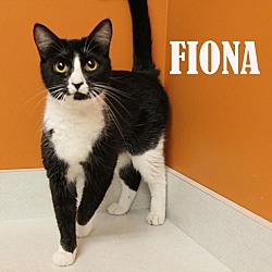 Photo of Fiona