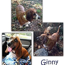 Thumbnail photo of Ginny #1