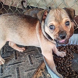 Photo of Barbie - available 9/28