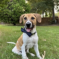 Photo of Duke