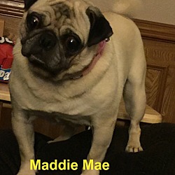 Thumbnail photo of Maddie Mae #2