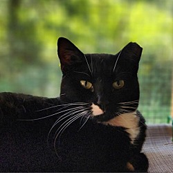 Thumbnail photo of Marcie #2