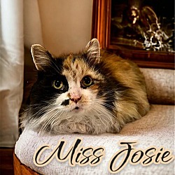 Photo of Miss Josie