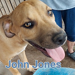 Photo of John jones