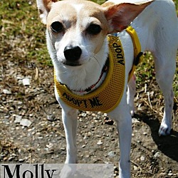 Thumbnail photo of Molly #1