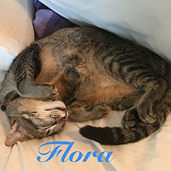 Thumbnail photo of Flora #2