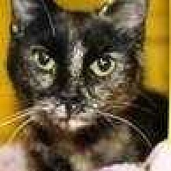 Photo of Brandy