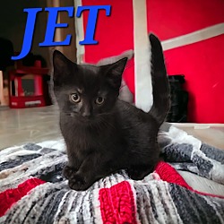 Photo of Jet