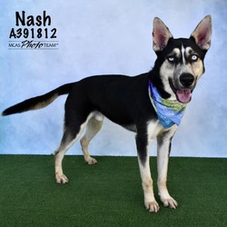 Photo of NASH